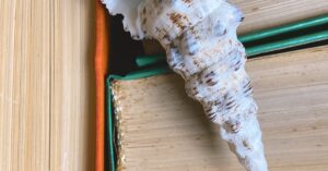 Unsichtbare Ökosysteme hinter Manga & Anime: Kashi-hon-Revival, Rasterfolien-Archäologie und Provinz-Location-Hunting